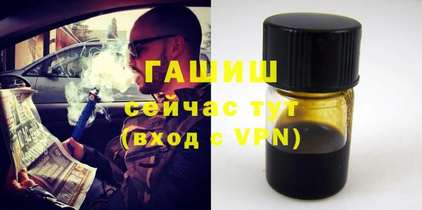 молекула духа Ельня