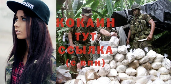 молекула духа Ельня