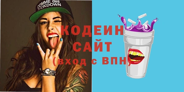 молекула духа Ельня