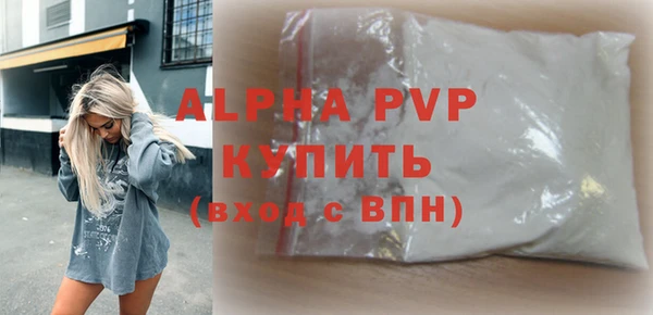 молекула духа Ельня