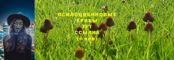 крисы Заволжье