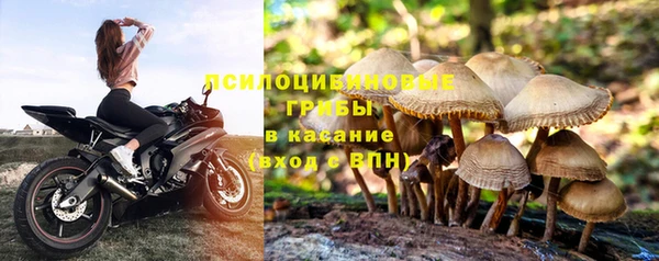 молекула духа Ельня