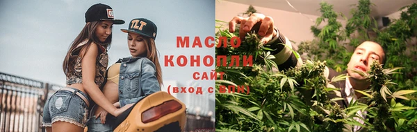молекула духа Ельня