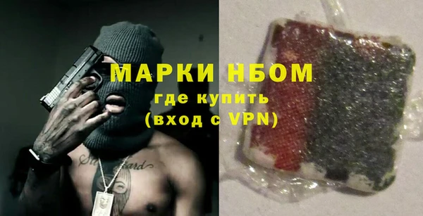 молекула духа Ельня