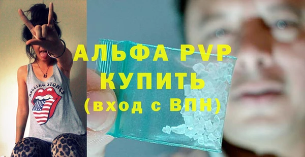 молекула духа Ельня