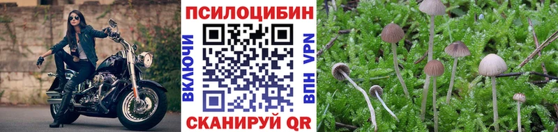 Псилоцибиновые грибы MAGIC MUSHROOMS  нарко площадка Telegram  Иннополис  наркотики 